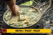 Trites / Pagit-pagit